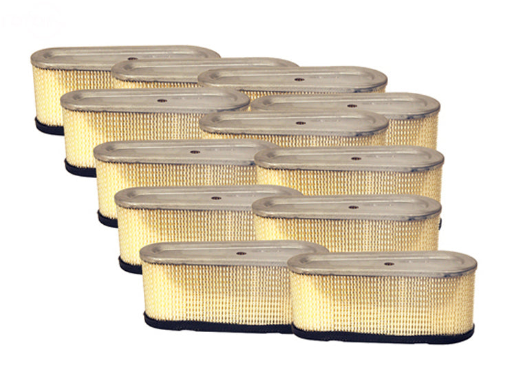 Rotary # 12936 MASTER CTN REPLACEMENT FILTER FOR B&S 493909 Pack of 12