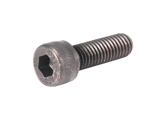 Rotary # 3156 SOCKET HEAD BOLT M5X16 ASSORTMENT REFILLS  Pack of 10